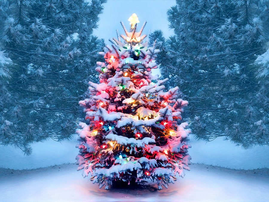 Crowsnest Vineyard Ltd - Cawston, BC	